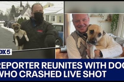 Pups in the News