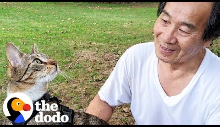 Dad Who Swore He Wasn't A Cat Person Fosters 75 Kittens