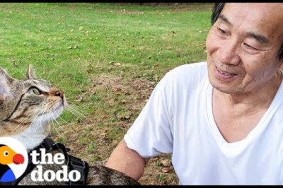 Dad Who Swore He Wasn't A Cat Person Fosters 75 Kittens