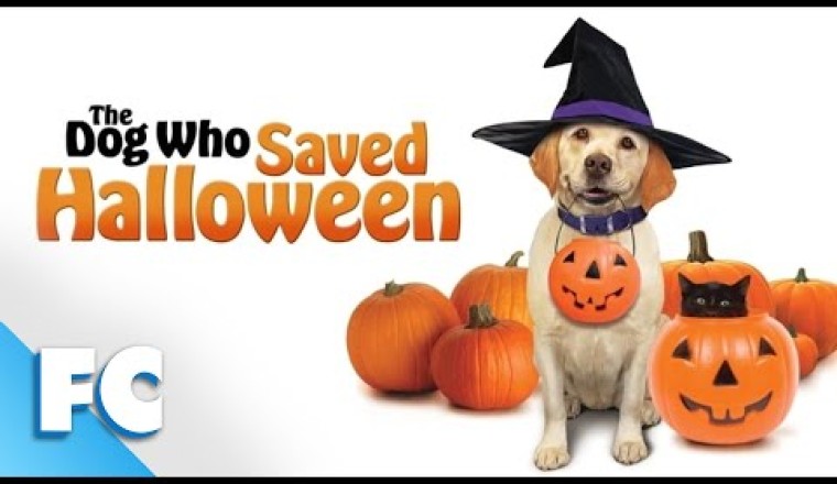 The Dog Who Saved Halloween