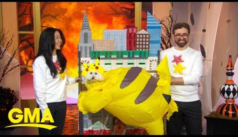 ‘GMA’ Hosts Dog Costume Parade for Halloween