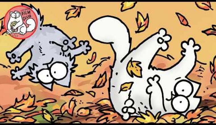 Simon's Cat - Cozy Up With Your Cat