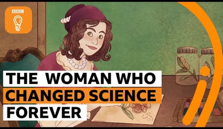 Maria Sibylla Merian: The Woman Who Changed Science Forever