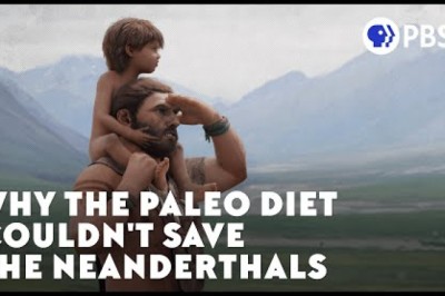 Why The Paleo Diet Couldn't Save The Neanderthals