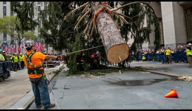 Crew sets up Rockefeller Center Christmas Tree in New York