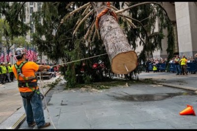 Crew sets up Rockefeller Center Christmas Tree in New York