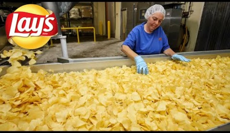 A Deep Look into the Lays Chips Factory