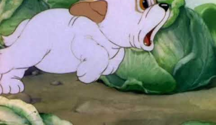 Two Little Pups (1936)