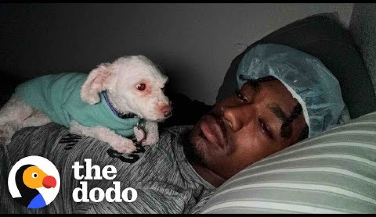 Colorado Football Player Finds Dog While Hiking