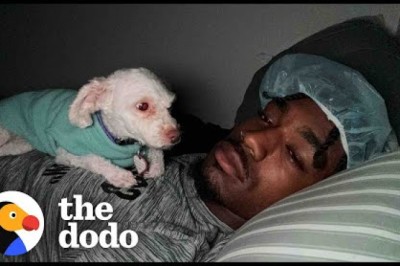 Colorado Football Player Finds Dog While Hiking