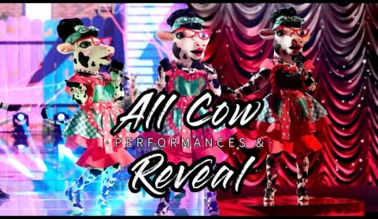 All Cow Performances and Reveal