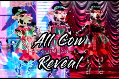 All Cow Performances and Reveal