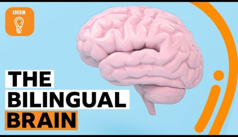 Why Being Bilingual Is Good for Your Brain