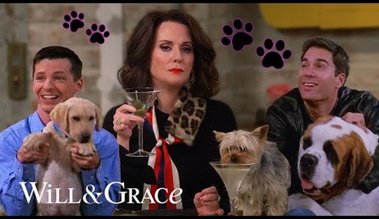 Will and Grace but It’s Just the Cute Dogs