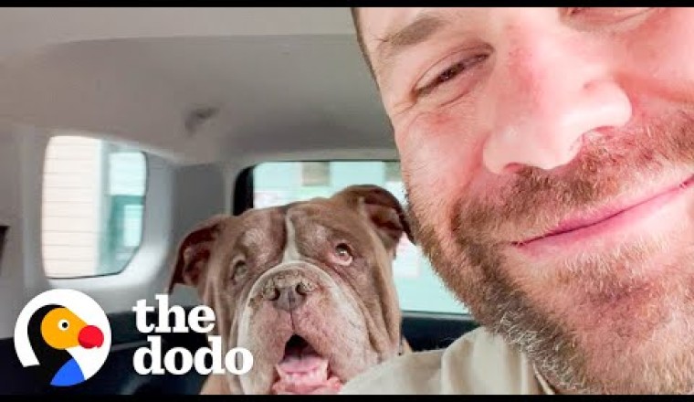Guy Rescues The Oldest Dogs Out Of The Shelter