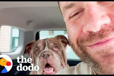 Guy Rescues The Oldest Dogs Out Of The Shelter