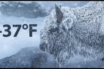 -37F Winter in Yellowstone National Park