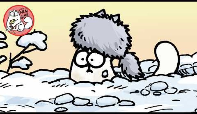 This Cat is Snowed Under!