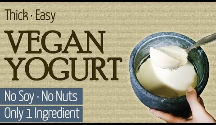 Easy Thick Vegan Yogurt