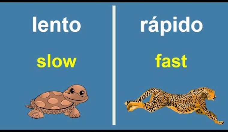 Spanish Opposite Words. Most Important Antonyms in Spanish