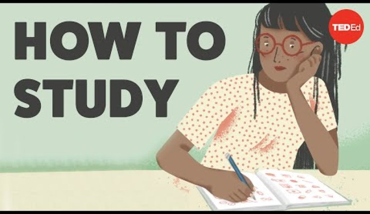 3 Tips on How To Study Effectively