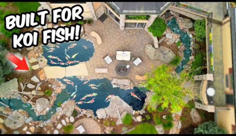 12,000 Gallons Pond with 2 LARGE Waterfalls and Koi Fish!