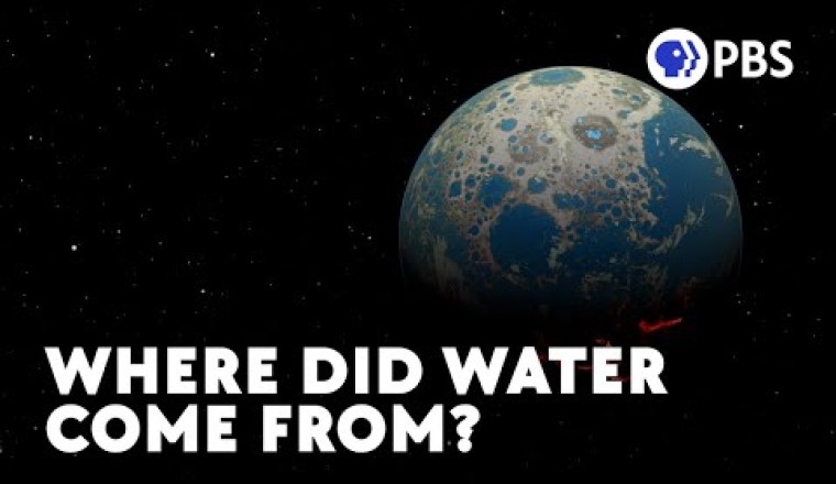 Where Did Water Come From?