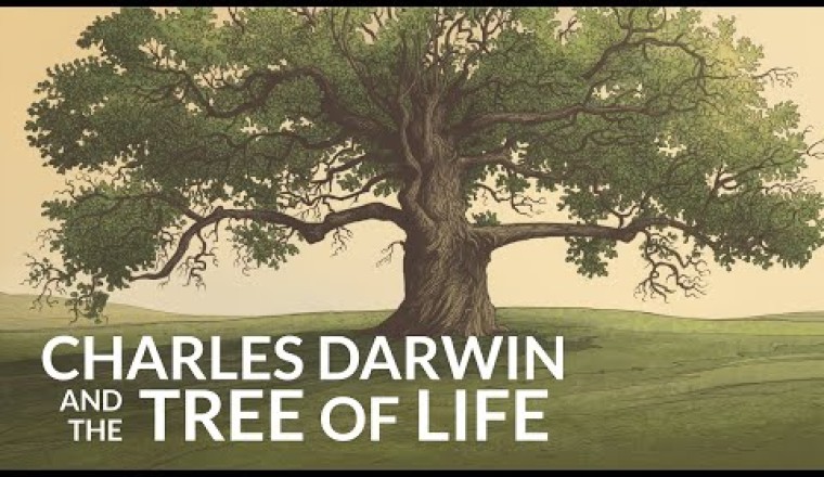 What Was The Last Common Ancestor of all Life on Earth?