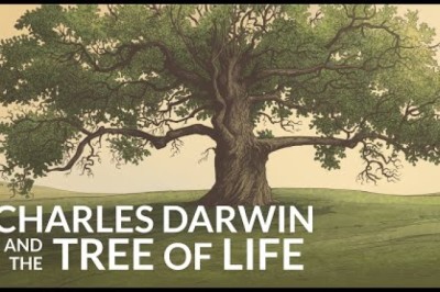 What Was The Last Common Ancestor of all Life on Earth?
