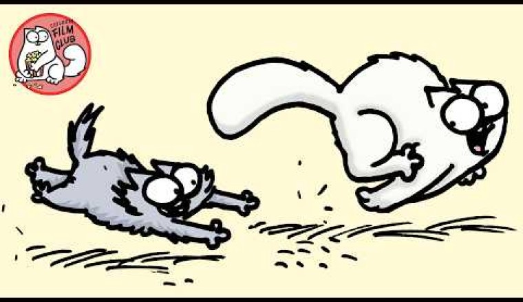 Get Ready for Some CAT CARDIO