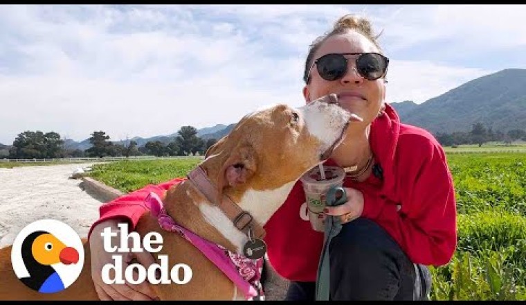 Kaley Cuoco Goes on A Dodo Dream Date