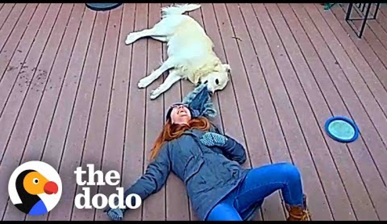 Ring Camera Catches Woman And Her Dog In The Happiest Moment Ever