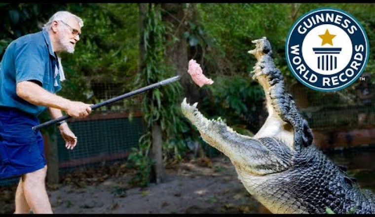 Meet Cassius, World's Largest Crocodile in Captivity!