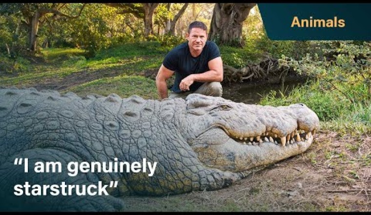 Meet Henry, The World's Oldest Crocodile (120+ years)