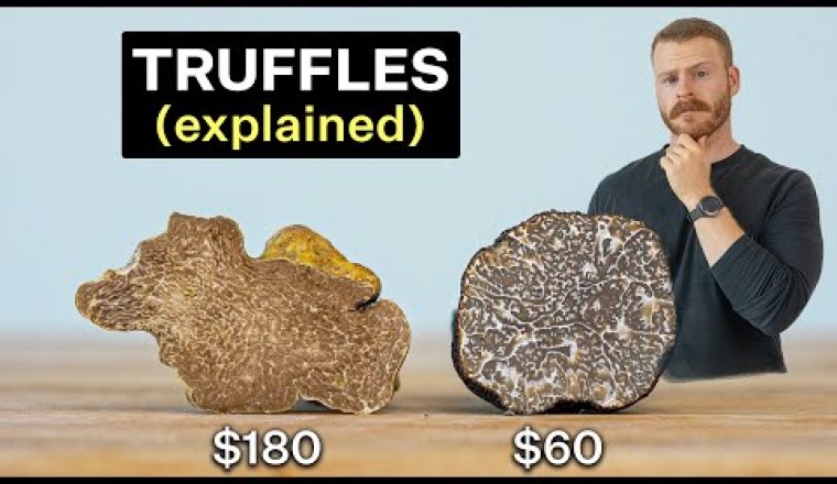 Why Are Truffles So Expensive?