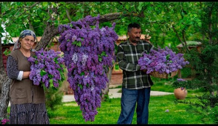 Lilac Flower Jam: Simple Spring Scent Recipe