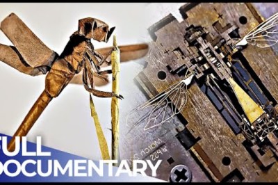 From Paper to Bionics: Origami's Incredible Impact on Science