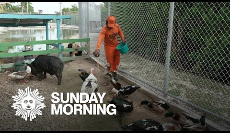 A Zoo for Rescued Animals, Beneath a Key West Jail