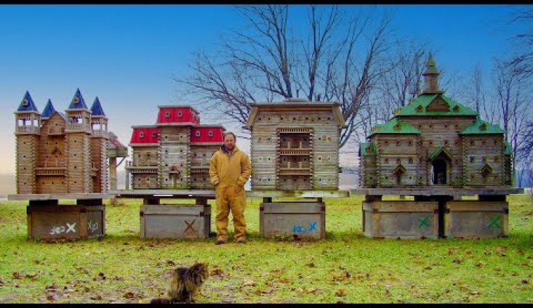 World's Largest Birdhouses