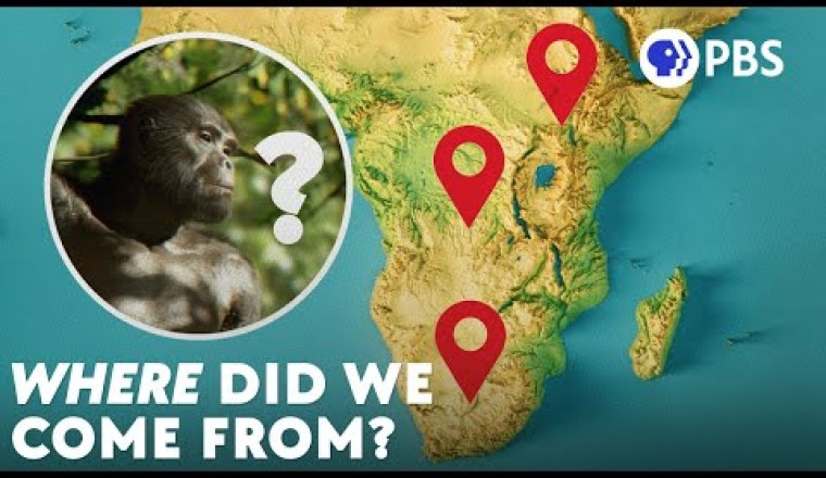 There's No Single Cradle of Humankind
