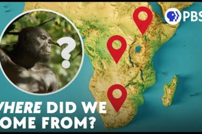 There's No Single Cradle of Humankind