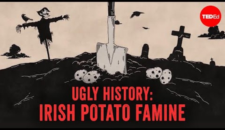 What Really Caused the Irish Potato Famine