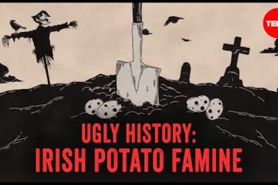 What Really Caused the Irish Potato Famine