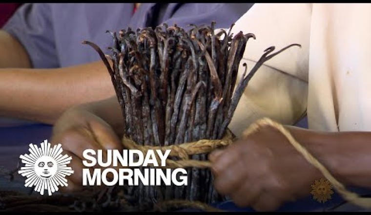 The Flavorful Story of Vanilla