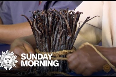 The Flavorful Story of Vanilla