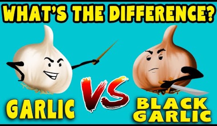 Black vs Regular GARLIC - What's the difference?