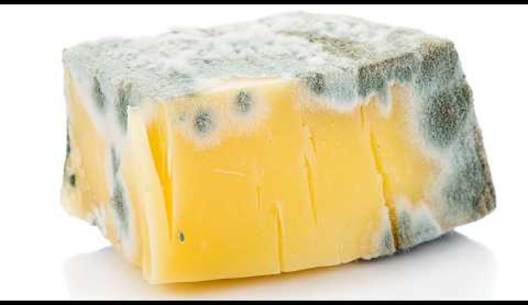 The Big Lies You've Been Believing About Cheese