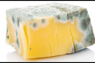 The Big Lies You've Been Believing About Cheese