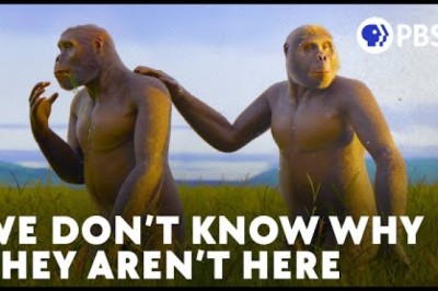 Our Most Mysterious Extinct Cousins