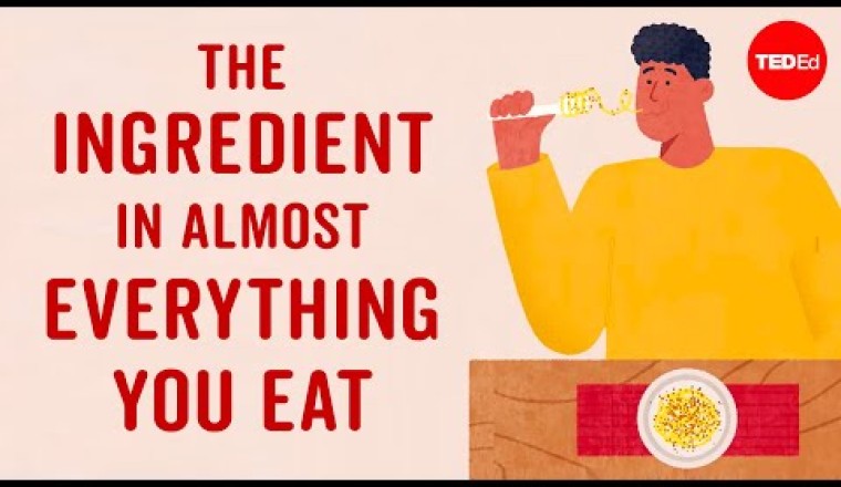 The Ingredient in Almost Everything You Eat